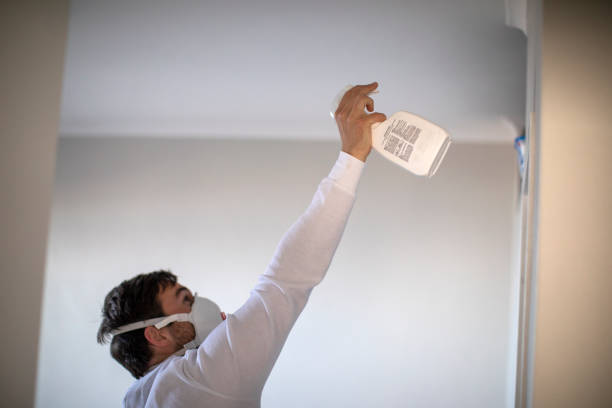 Best Home Mold Removal  in Woodlake, CA