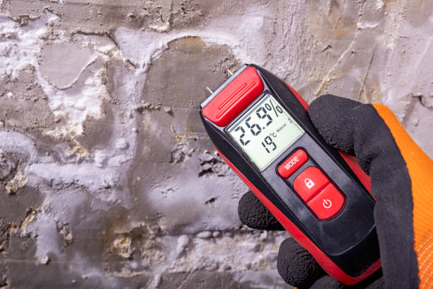 Best Black Mold Removal  in Woodlake, CA