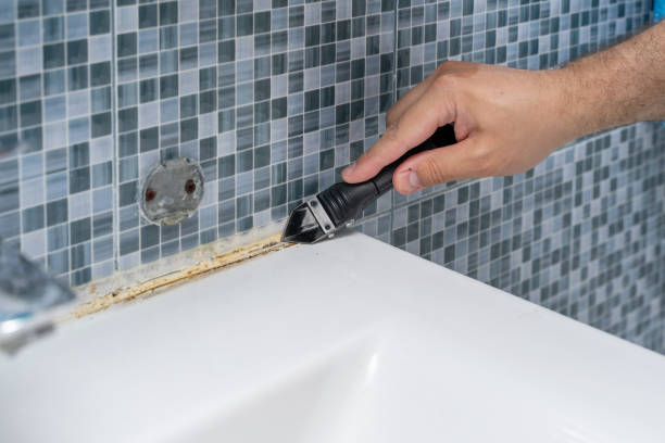 Best Mold Testing  in Woodlake, CA