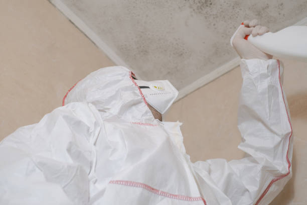 Crawl Space Mold Removal in Woodlake, CA