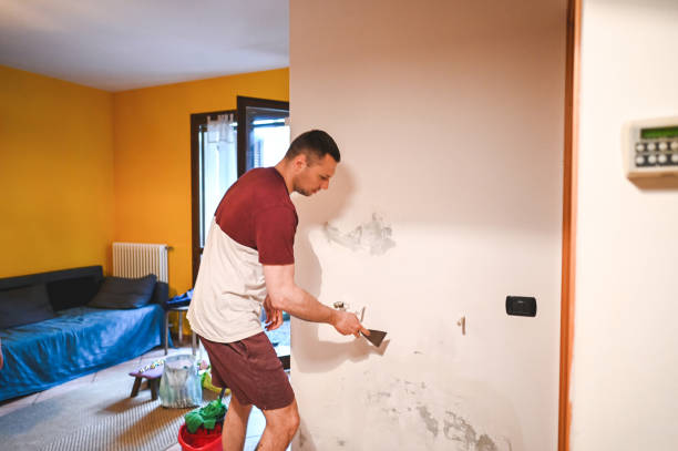 Best Attic Mold Removal  in Woodlake, CA